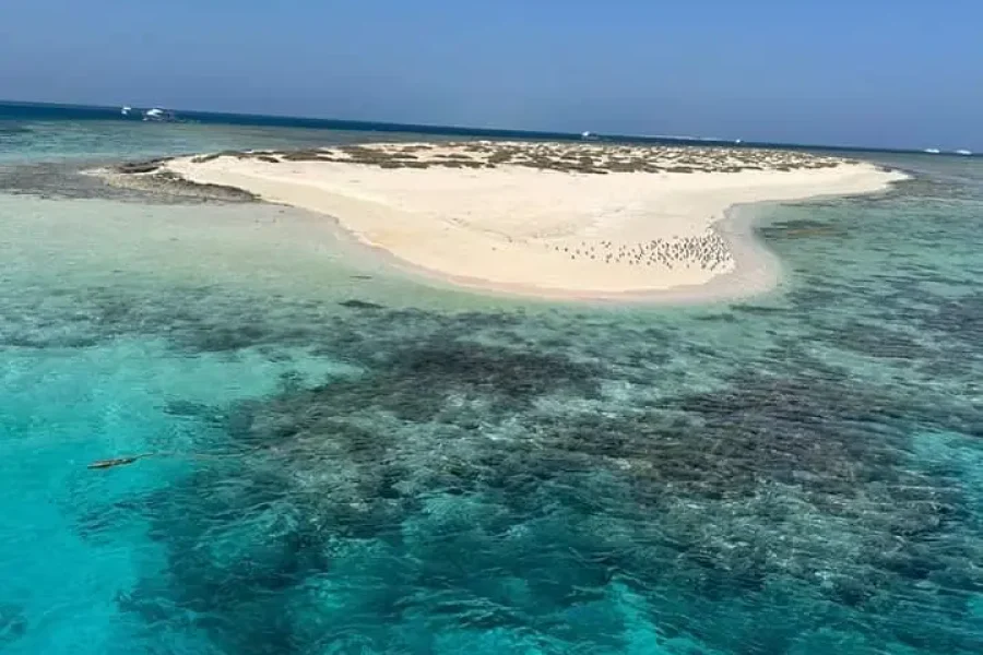 Hamata Islands Boat Trip